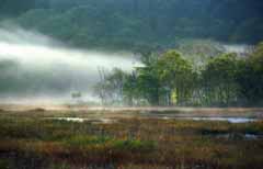 photo, la matière, libre, aménage, décrivez, photo de la réserve,Vie avec brouillard, étang, arbre, montagne, brouillard