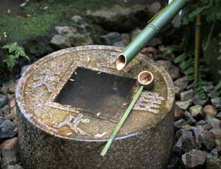 photo, la matière, libre, aménage, décrivez, photo de la réserve,Tsukubai dans Le Temple du Dragon pacifiques, Héritage Mondial, Cérémonie du thé, Mitokomon, Muromachi Shogunate