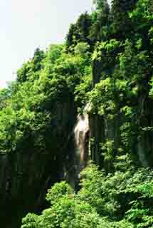 photo, la matière, libre, aménage, décrivez, photo de la réserve,Chutes profond dans les montagnes, eau, champ, vert, 