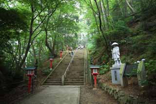 photo, la matière, libre, aménage, décrivez, photo de la réserve,Une piste de montagne de Mt. Takao, L'ascétique pratique le Grand Professeur, Escalade, Aller à pied, forêt