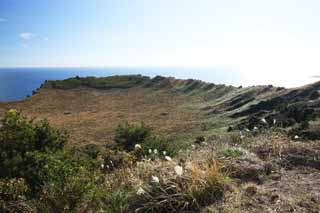 photo, la matière, libre, aménage, décrivez, photo de la réserve,Le cratère du Shiroyama Hiji sommet, ilchulbong du seongsan, Cliff, île volcanique, tache de la beauté