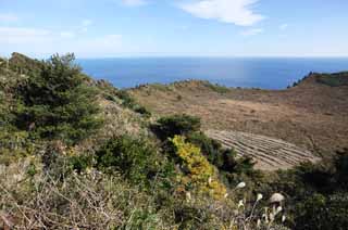 photo, la matière, libre, aménage, décrivez, photo de la réserve,Le cratère du Shiroyama Hiji sommet, ilchulbong du seongsan, Cliff, île volcanique, tache de la beauté