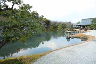 photo, la matière, libre, aménage, décrivez, photo de la réserve,Tenryu-ji jardinent, Chaitya, étang, patrimoine de l'humanité, Sagano