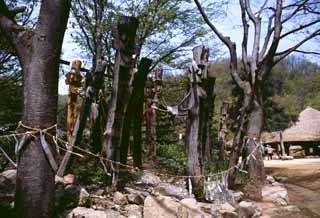 photo, la matière, libre, aménage, décrivez, photo de la réserve,Perche du totem coréenne, tradition, arbre, , 