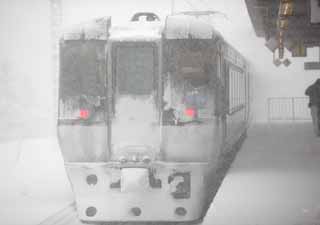 photo, la matière, libre, aménage, décrivez, photo de la réserve,La menace de la tempête de neige, C'est froid, J'ai froid, tempête de neige, Chute de neige lourde