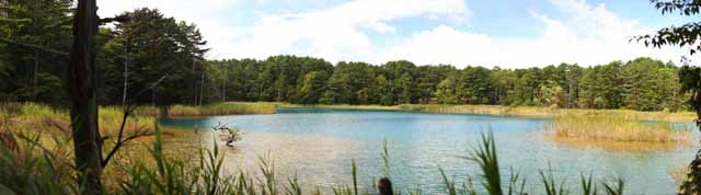 photo, la matière, libre, aménage, décrivez, photo de la réserve,Femme de lac de zen-prêtre principal, forêt, étang, Bleu azuré, Mt. Bandai-san