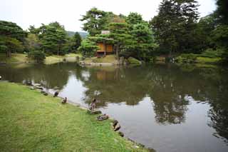 photo, la matière, libre, aménage, décrivez, photo de la réserve,L'étang de l'Oyaku-en Jardin caractère sensible, plante de jardin, Jardiner, Japonais jardine, pin