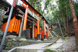 photo, la matière, libre, aménage, décrivez, photo de la réserve,Fushimi-Inari Taisha torii de Temple, La visite de nouvelle année à un temple shintoïste, torii, Inari, renard