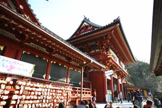 photo, la matière, libre, aménage, décrivez, photo de la réserve,Hachiman-gu temple Hongu, , Un temple supérieur, temple principal, 