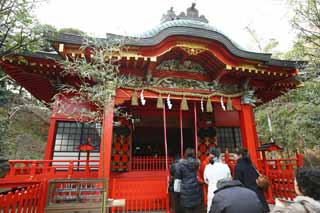 photo, la matière, libre, aménage, décrivez, photo de la réserve,Temple Eshima temple Nakatsu, , Temple shintoïste, , Ozunu Enno