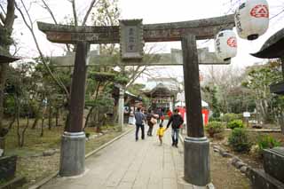 photo, la matière, libre, aménage, décrivez, photo de la réserve,Temple Eshima temple Okutsu, lanterne, torii, Une approche à un temple, Shintoïsme