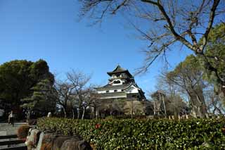 photo, la matière, libre, aménage, décrivez, photo de la réserve,L'Inuyama-jo tour du château du Château, château Impérial blanc, Etsu Kanayama, château, 