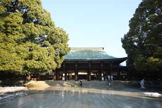 photo, la matière, libre, aménage, décrivez, photo de la réserve,Temple Meiji temple de devant, L'empereur, Temple shintoïste, torii, Neige