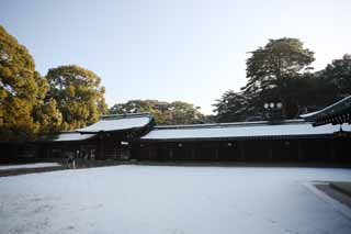 photo, la matière, libre, aménage, décrivez, photo de la réserve,Temple Meiji, L'empereur, Temple shintoïste, torii, Neige