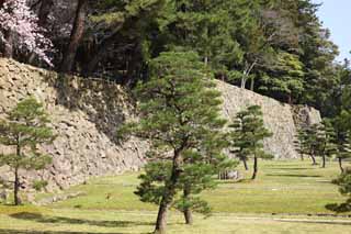 photo, la matière, libre, aménage, décrivez, photo de la réserve,Matsue-jo Château, pin, Entasser-pierres, château, Ishigaki