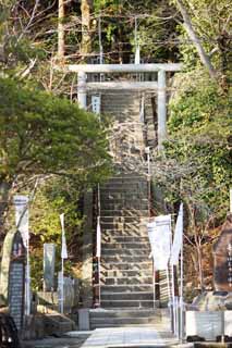 Foto, materieel, vrij, landschap, schilderstuk, bevoorraden foto,Het graf van Yoritomo Minamoto, Graf, Rijs voor de rust van de geesten uit, Kamakura, Daling van een paard