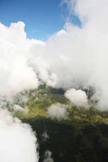 Foto, materieel, vrij, landschap, schilderstuk, bevoorraden foto,Hawaii Eiland luchtfotografie, Wolk, Woud, Grassig duidelijk, 