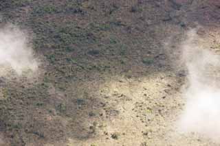 Foto, materieel, vrij, landschap, schilderstuk, bevoorraden foto,Hawaii Eiland luchtfotografie, Lava, Dode boom, Krak in hét gemaald, Woestijn