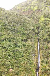 Foto, materieel, vrij, landschap, schilderstuk, bevoorraden foto,Hawaii Island Waimanu Valley, , , , 