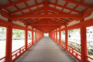 Foto, materieel, vrij, landschap, schilderstuk, bevoorraden foto,Een corridor van Itsukushima-jinja Heiligdom, Wereldwijd cultureel heritage, Otorii, Shinto heiligdom, Ik ben cinnabar rood