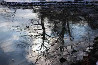 Foto, materieel, vrij, landschap, schilderstuk, bevoorraden foto,De lucht welk wordt broken, Ijsje, Plas, Plas Onuma, Koud