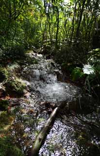 Foto, materieel, vrij, landschap, schilderstuk, bevoorraden foto,Edele afstamming, Woud, Waterval, Beek, Mt. Bandai-san