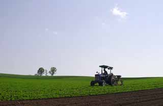 Foto, materieel, vrij, landschap, schilderstuk, bevoorraden foto,Aan het werk trekker, Landbouwkundig mechanisme, Ouder-kind boom, Blauwe lucht, Trekker