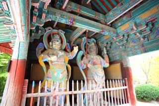 fotografia, materiale, libero il panorama, dipinga, fotografia di scorta,Il tempio di terra del Budda Quattro cancello di Devas, Immagine buddista, Colorante Ricco, divinità custode, modello