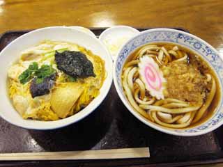 fotografia, materiale, libero il panorama, dipinga, fotografia di scorta,Udon di cane di procione ed una ciotola di riso superarono con pollo ed uova, Cucinando, Cibo, , 