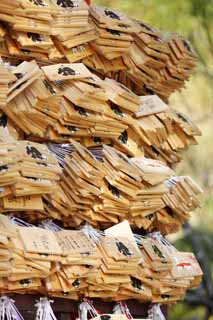 fotografia, materiale, libero il panorama, dipinga, fotografia di scorta,Una tavoletta di votive di EgaraTenjin-shaShrine, Sacrario scintoista, susina, Kamakura, Irriti Tenjin