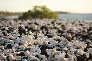 fotografia, materiale, libero il panorama, dipinga, fotografia di scorta,Bianco e la spiaggia nera, Lavico, Corallo, onda, paese meridionale