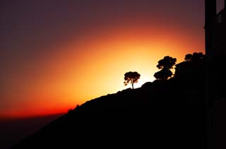 fotografia, materiale, libero il panorama, dipinga, fotografia di scorta,Bagliore di sera che brucia, tramonto, Il sole di setting, albero, silhouette