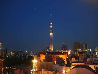 fotografia, materiale, libero il panorama, dipinga, fotografia di scorta,Sky Tree, , , , 