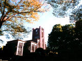 fotografia, materiale, libero il panorama, dipinga, fotografia di scorta,Auditorio di Yasuda in autunno, cielo, Università di Tokio, , 