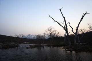 fotografia, materiale, libero il panorama, dipinga, fotografia di scorta,Un piano di umidità di una prima mattina, palude, La superficie dell'acqua, montagna, albero