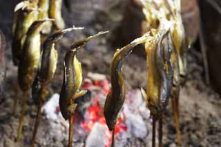 fotografia, materiale, libero il panorama, dipinga, fotografia di scorta,Carbone che accende un fuoco di un sweetfish, sweetfish, , , pesce dolce