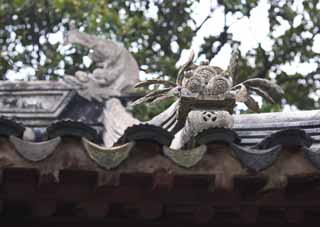 fotografia, materiale, libero il panorama, dipinga, fotografia di scorta,Una decorazione di tetto di Enkodo di Zhuozhengyuan, tegola, tetto, eredità di mondo, giardino