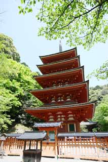 fotografia, materiale, libero il panorama, dipinga, fotografia di scorta,Cinque pagoda di Storeyed del tempio di Hase-dera, Io sono dipinto in rosso, edificio di legno, Chaitya, Mitera del fiore