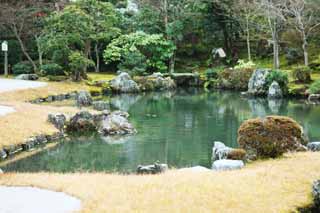 fotografia, materiale, libero il panorama, dipinga, fotografia di scorta,Tenryu-ji fa del giardinaggio, Chaitya, stagno, eredità di mondo, Sagano