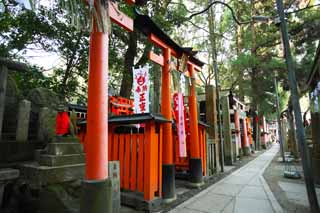 fotografia, materiale, libero il panorama, dipinga, fotografia di scorta,Fushimi-Inari Taisha torii di Sacrario, La visita di anno Nuovo ad un sacrario scintoista, torii, Inari, volpe