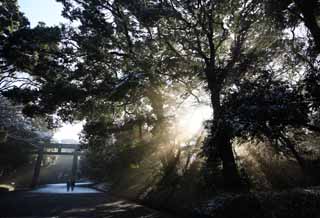 fotografia, materiale, libero il panorama, dipinga, fotografia di scorta,La luce dell'oracolo, Sei Dio, linea leggera, Luce sacra, Luminosità