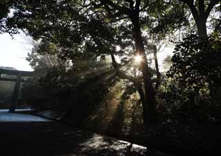 fotografia, materiale, libero il panorama, dipinga, fotografia di scorta,La luce dell'oracolo, Sei Dio, linea leggera, Luce sacra, Luminosità