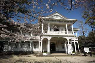 fotografia, materiale, libero il panorama, dipinga, fotografia di scorta,Matsue-jo il castello Kouunkaku, Edificio di occidentale-stile, muro bianco, albero ciliegio, Meiji