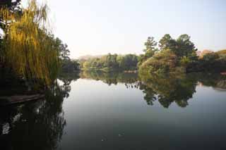 fotografia, material, livra, ajardine, imagine, proveja fotografia,Uma Casa de música-como carga, ponte, loto, superfície de um lago, salgueiro