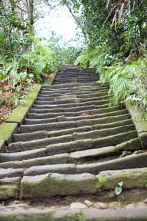 fotografia, material, livra, ajardine, imagine, proveja fotografia,Zuisen-ji Templo pedra escada, Chaitya, Zen Budismo-como jardim, Kamakura, Literatura dos cinco templos de Zen