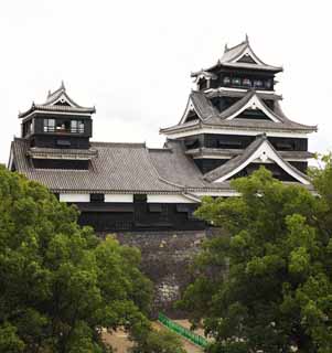 fotografia, material, livra, ajardine, imagine, proveja fotografia,Em Kumamoto Castle, , , , 