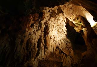 fotografia, material, livra, ajardine, imagine, proveja fotografia,Ishigaki-jima Ilha estalactite caverna, caverna de estalactite, Estalactite, Pedra calcária, caverna