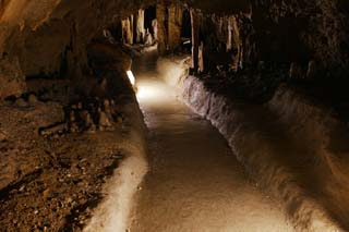 fotografia, material, livra, ajardine, imagine, proveja fotografia,Ishigaki-jima Ilha estalactite caverna, caverna de estalactite, Estalactite, Pedra calcária, caverna