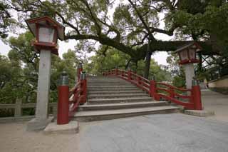 fotografia, material, livra, ajardine, imagine, proveja fotografia,Temma, santuário de Dazaifu, ponte, modo, Escadarias, cercando