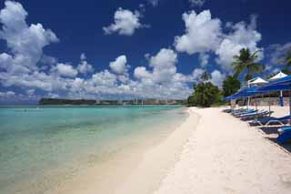 fotografia, material, livra, ajardine, imagine, proveja fotografia,Uma praia de Golfo de Tumon, praia arenosa, Água de mar, guarda-sol, Verde de esmeralda